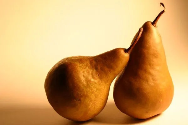 Studio macro photograph of pear