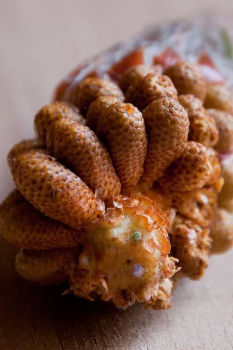 Studio macro photograph of pine nuts
