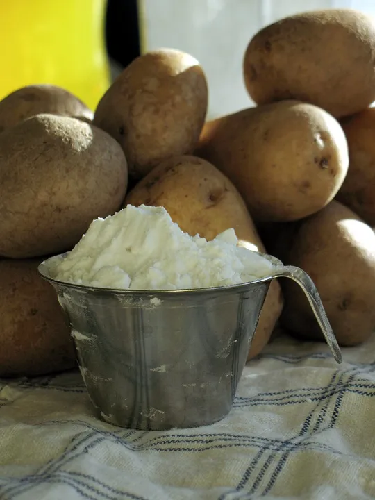 Studio macro photograph of potato starch