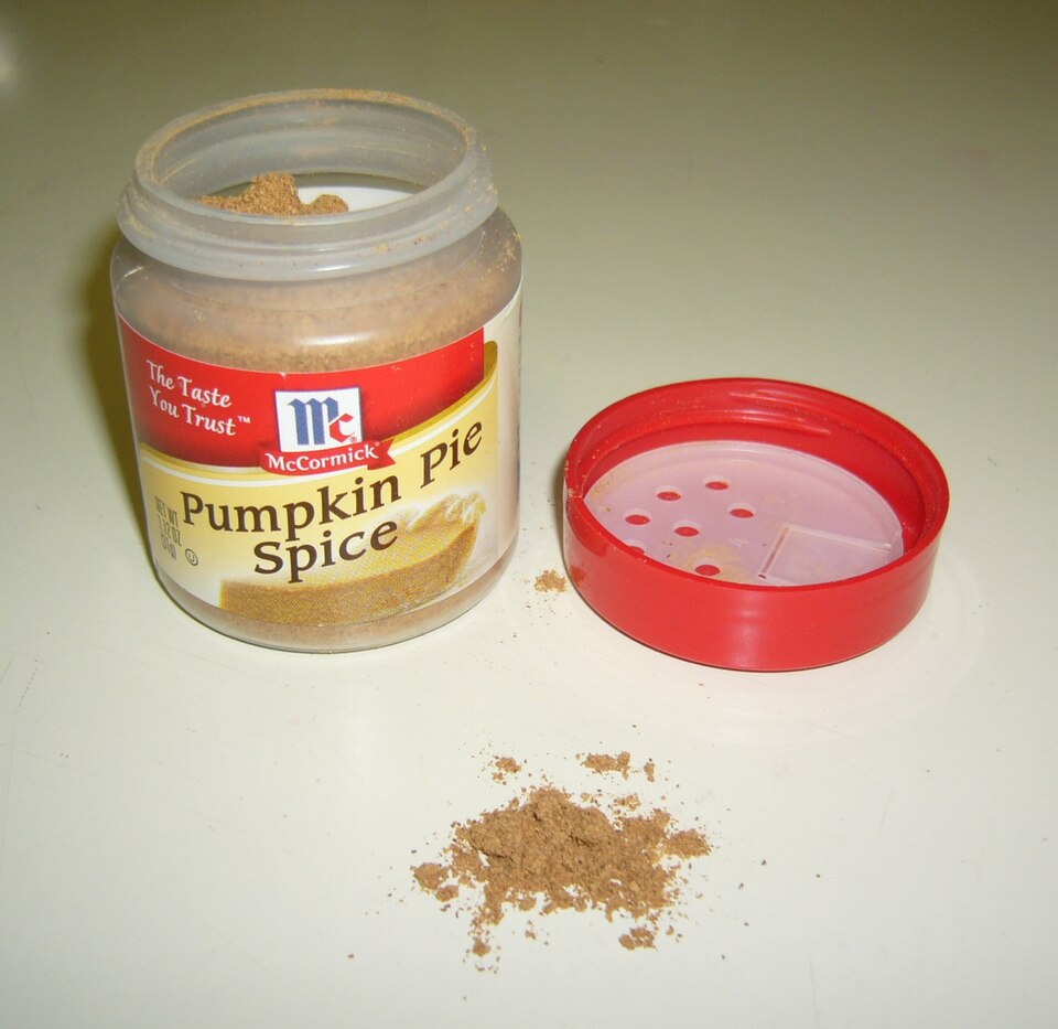 Studio macro photograph of pumpkin pie spice