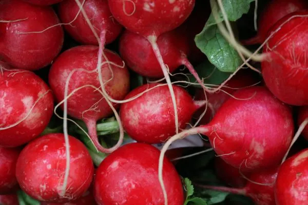 Studio macro photograph of radish
