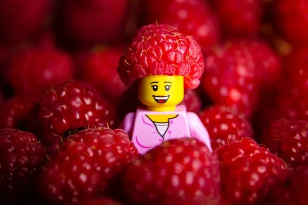Studio macro photograph of raspberry