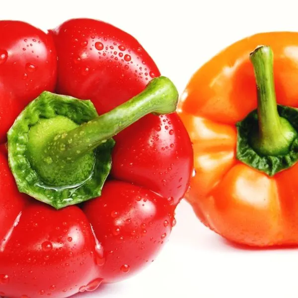 Studio macro photograph of red bell pepper