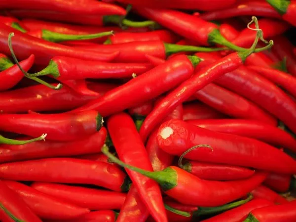 Studio macro photograph of red chili pepper