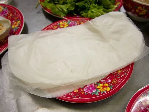Studio macro photograph of rice paper wrappers