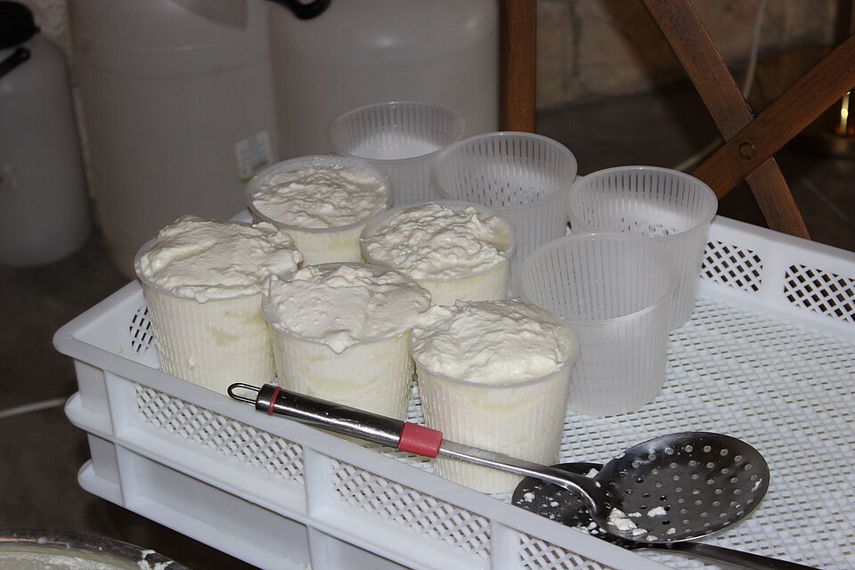 Studio macro photograph of ricotta cheese