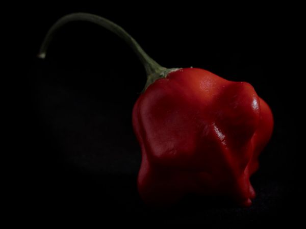 Studio macro photograph of roasted red peppers