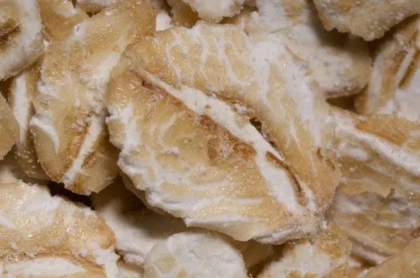 Studio macro photograph of rolled oat