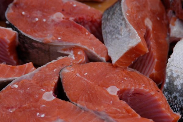 Studio macro photograph of salmon
