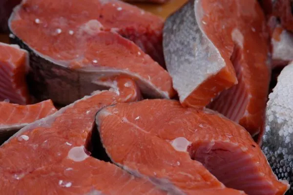 Studio macro photograph of salmon