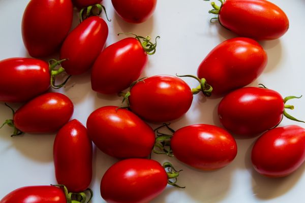 Studio macro photograph of san marzano tomato