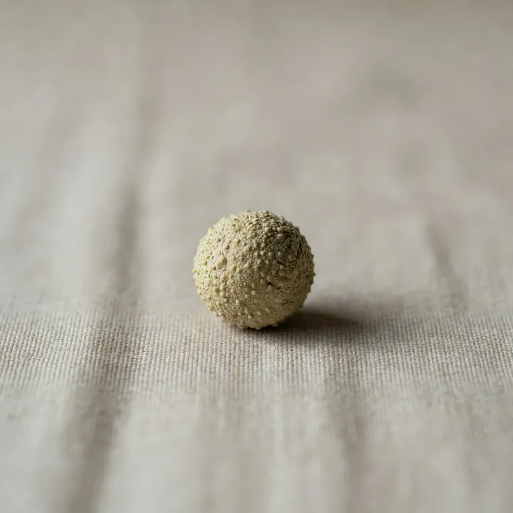 Studio macro photograph of sansho peppercorn
