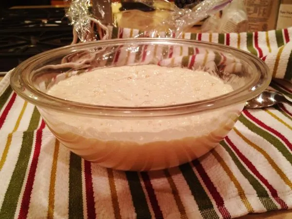 Studio macro photograph of sourdough starter