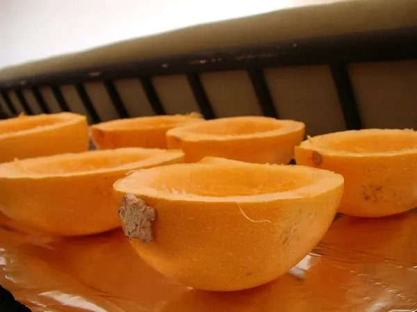 Studio macro photograph of spaghetti squash