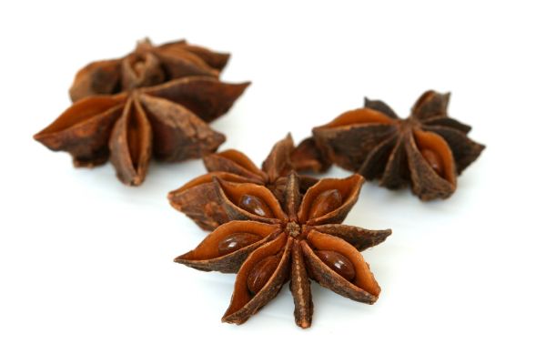 Studio macro photograph of star anise