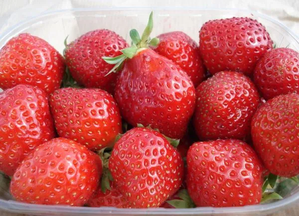 Studio macro photograph of strawberry