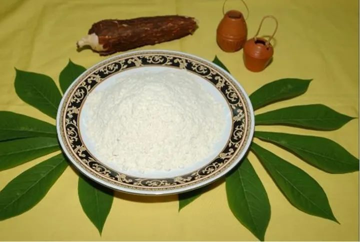 Studio macro photograph of tapioca starch