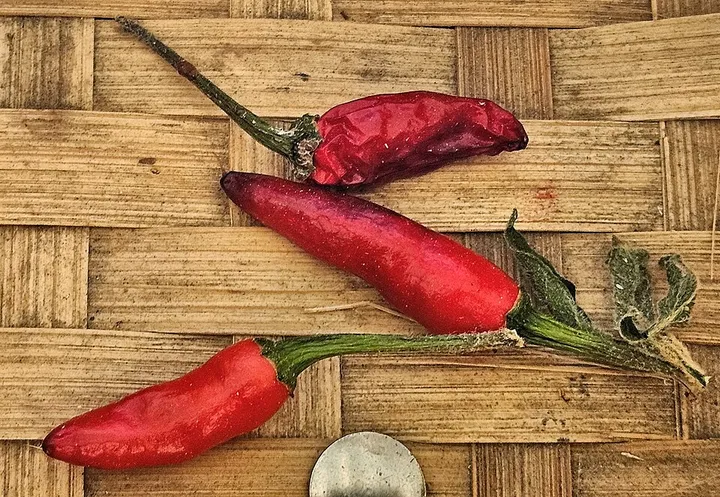 Studio macro photograph of thai chili