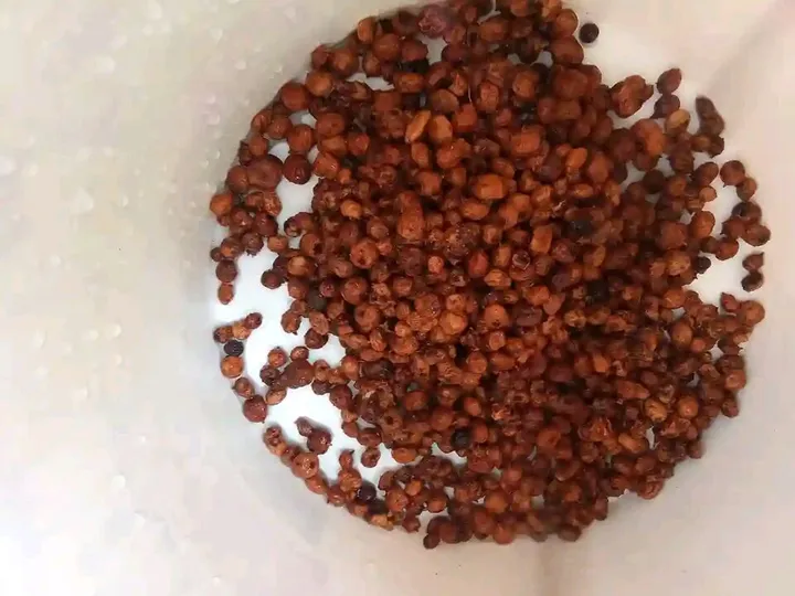 Studio macro photograph of tigernuts
