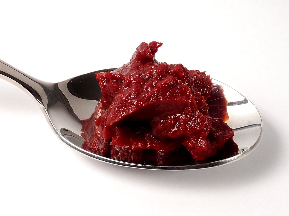 Studio macro photograph of tomato paste