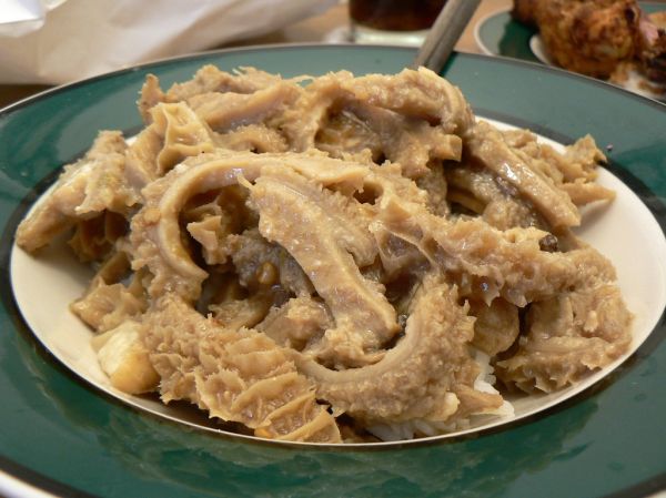Studio macro photograph of tripe