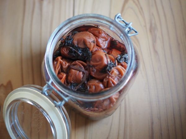Studio macro photograph of umeboshi