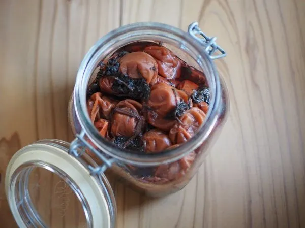 Studio macro photograph of umeboshi