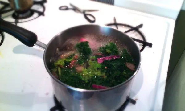 Studio macro photograph of vegetable broth