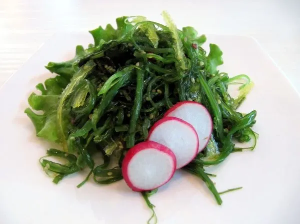 Studio macro photograph of wakame