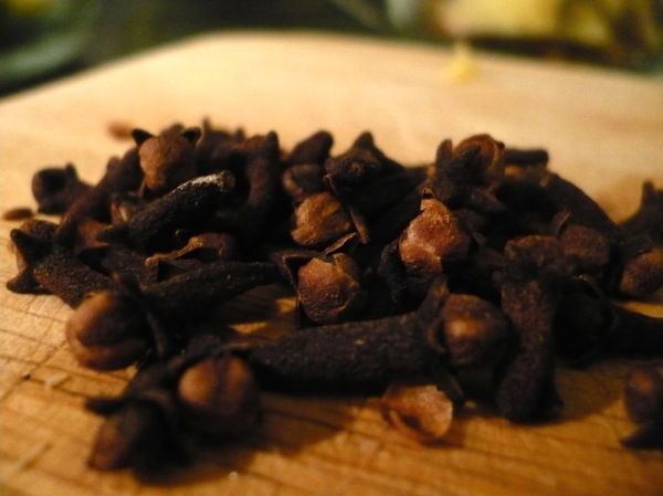 Studio macro photograph of whole cloves