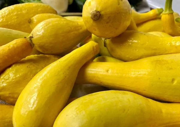 Studio macro photograph of yellow squash