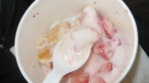 Studio macro photograph of yogurt